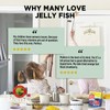 Moller’s ® | Omega 3 Jellies for Children | Strawberry