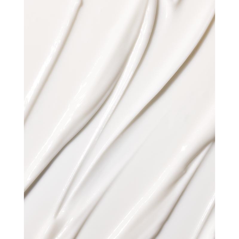 Bergamot Bond - Essentials Set - Includes Sensorial Body Wash,