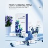 BIOAQUA Blueberry Arbutin Moisturizing Facial Mask Hydrates Skin Delicate Care