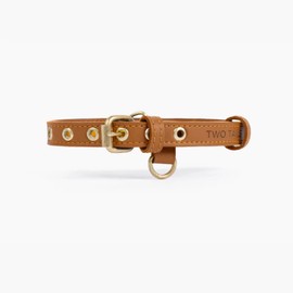 Two Tails Pet Company Cactus Leather Dog Collar - Eco-Friendly, Stylish, Easy-to-Clean Pet Collar with Gold Hardware, D-Rings for Leash & ID Tag (Small, Caramel)