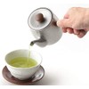 Miyazaki Seisakusho CHA-2 Teapot with Tea Strainer, No Direct Flame,