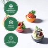 CROC'IN - Fuchsia Mini Tart Shells - Edible Appetizer Or