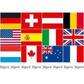 Flaggenfritze® European Football Flag Chain, 2021 – 6.70 m Long + Free Digni® Sticker