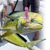C&H Lures Alien Lure, Blue/Blue/Silver Mylar Skirt, Concave Head, Hologram