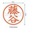 Shachihata Stamp Name 6 Correction Stamp XL-6 Stamp Face 0.2