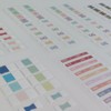 6 Pcs Monthly Tabs Monthly Calendar Stickers for for Planners