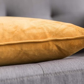 MIULEE Pack of 2 Velvet Soft Decorative Square Throw Pillow Case Flanges Cushion Covers Luxury Pillowcases for Livingroom Sofa Bedroom with Invisible Zipper 40cm x 40cm 16x16 Inch Set of 2 Gold