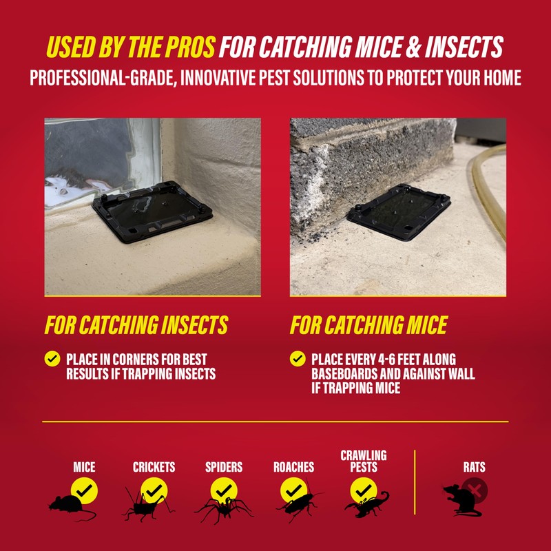 Catchmaster-8 Mouse & Insect Glue Traps, Heavy-Duty Pesticide-Free Sticky Mouse