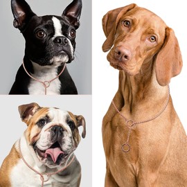 RoseGold Dog Chain Stainless Steel Choke Collar Slip Dog P Chain Snake Collar Plating Anti-Rust Dog Training Collars for Small Large Dogs(50cm)