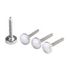 Stradpet Titanium Cello Tuner Screws (4 Pieces)