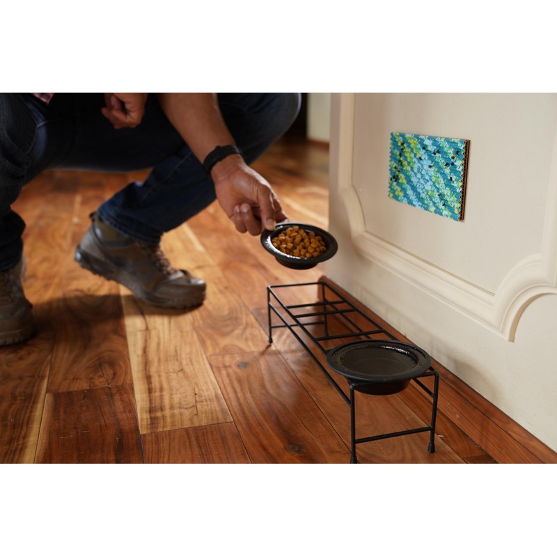 RESCUE! FlyPad – Sticky Fly Traps for Indoor & Outdoor