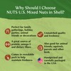 NUTS U.S. – Mixed Nuts In Shell (Almonds, Walnuts, Hazelnuts,