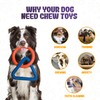 LEE BONBON Tug of War Dog Toy – Interactive Toy