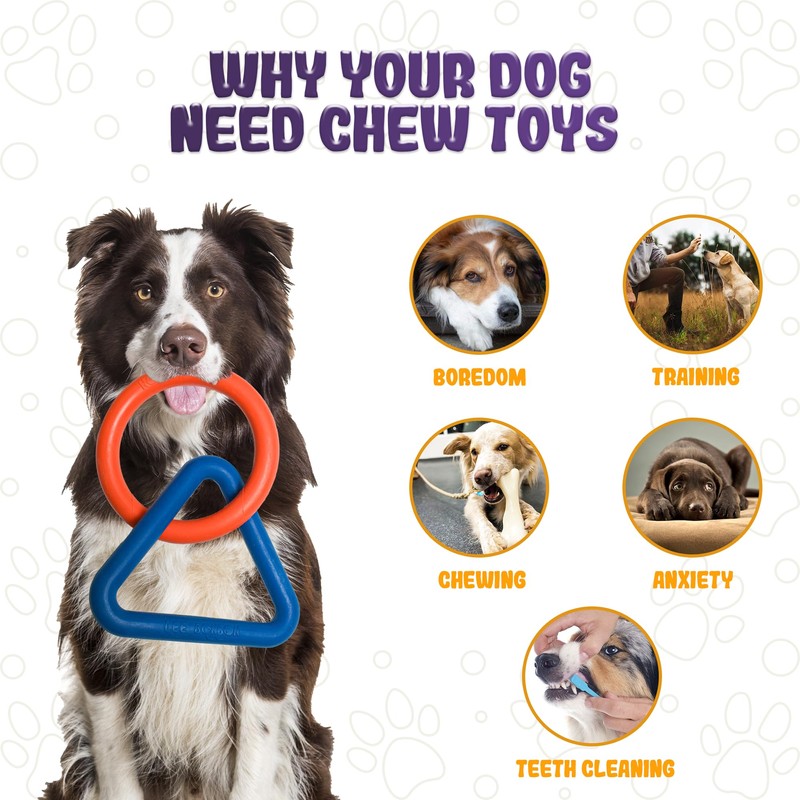 LEE BONBON Tug of War Dog Toy – Interactive Toy