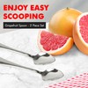 Chef Craft Select Serrated Grapefruit Spoon, 9 inch 2 piece