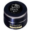 Pregel Gel Nail Color EX, Milky Carrot 300 blk