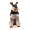 FuzzYard Black Teddy Dog Wrap Vest (2)