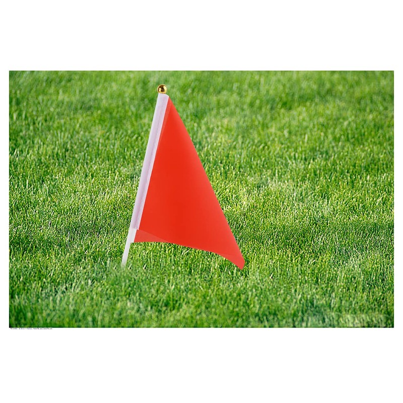 DS. DISTINCTIVE STYLE Small Flags 25 Pieces Mini Handheld Flags