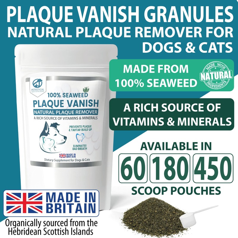 Petastical Plaque Vanish | Plaque Off Dogs, Cats | Banish