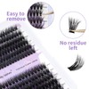 Individual Eyelashes 3D 60+80D 12-16mm D Curl Mixed Natural Cluster