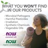 NOW NOW Essential Oils, Basil Oil, Energizing Aromatherapy Scent, Stream