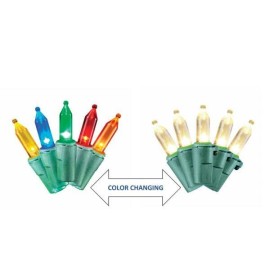 Home Accents Holiday 100 Color-Changing LED Warm White Multi color Lights Mini Christmas