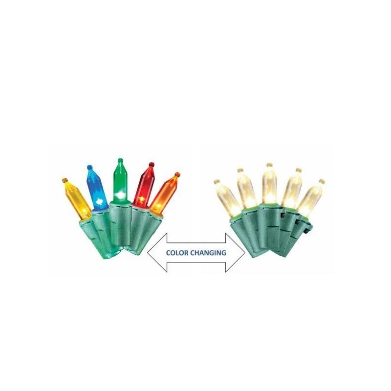 Home Accents Holiday 100 Color-Changing LED Warm White Multi color