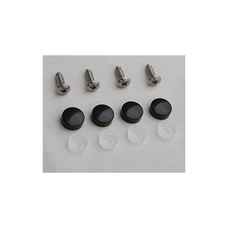 Stainless Steel License Plate Frame Self-Tapping Screws Fasteners ((4X) M6x20,