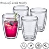 Amazing Abby Alaska 16-Ounce Insulated Tumblers (Set of 4), Double-Wall