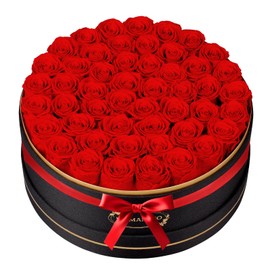 50 Preserved Roses in a Gift Box for Her - Forever Flowers for Delivery, Eternal Rose Mothers Gifts for Mom, Wife Anniversary Birthday Gifts for Women, Red