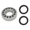 Self-Aligning Bearing & Seal Kit Fits for King Kutter RTG/TG/TG-G
