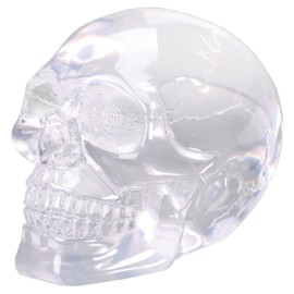 SUMMIT COLLECTION 3 inch Small Clear Translucent Skull Head Collectible Figurine