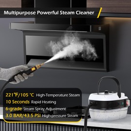Dyna-Living Steam Cleaner 2500W Car Steamer for Auto Detailing Handheld Steamer Cleaner for Home, High Pressure Steam Cleaner with 1L Water Tank Portable Steamer for Cleaning Kitchen Hood Use