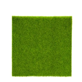 Artificial Grass Artificial Grass Patch Dog Training Grass Mat Artificial Grass Rug Outdoor Patio Grass Rug Decoration Synthetic Grass Mat(30 * 30cm)