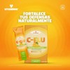 Vitaminik Vitamina C + Zinc Efervescente 10 Sobres Sabor Naranja