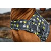 Hurtta Go Harness Padded Dog Harness for Small and Large