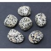 Pachamama Essentials Dalmation Jasper Tumbled - Healing Stone - Crystal