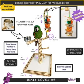 Bird Play Gym Tabletop w Cup, Toy Hanger and Toy, Birds LOVE Bengal TigerTail Stand - Large