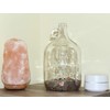 Skywin Swear Jar, Glass Coin Jar for Adults, Large Money