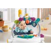 Fisher-Price Astro Kitty SpaceSaver Jumperoo Baby Activity Center