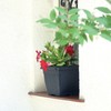 Terracotta Pot 13.8 L Dimensions (mm) 300 x 300 x