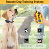 Educator Easy Sistema de Entrenamiento para Perros de 12 Milla,
