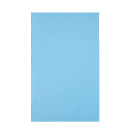 Sleepdown Plain Large Beach Towel Soft Microfiber Absorbent Swimming Pool Travel Camping Bath Sauna Gym Yoga with Bag - Aqua - (160 x 90cm)