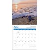 2026 Sea Turtles Mini Wall Calendar 7" x 7"
