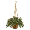Nearly Natural 30in. Mini Melon Artificial Plant in Hanging Basket