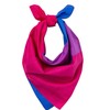 Bandana Bisexual Bi Pride