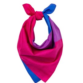 Bandana Bisexual Bi Pride