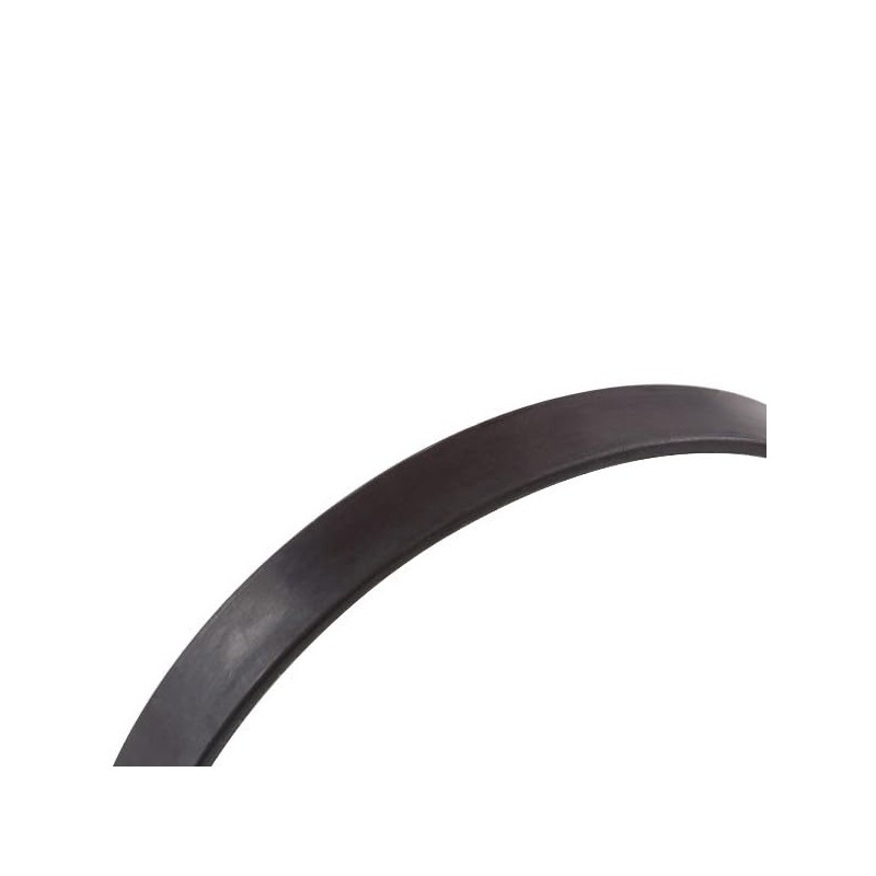 RIDEX 2254S0006 ABS Ring Rear Both Sides Rear 10 mm