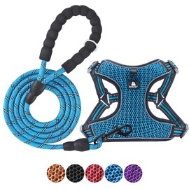 BAAPET Breathable Dog Harness for Small Puppy, Medium Dogs Step-in and Air Mesh with 6 Feet Reflective Rope Dog Leash (XL - 6 FT x Chest (24~28''), Blue)