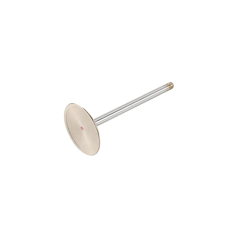 GM Genuine Parts 12569427 LS3 Intake Valve